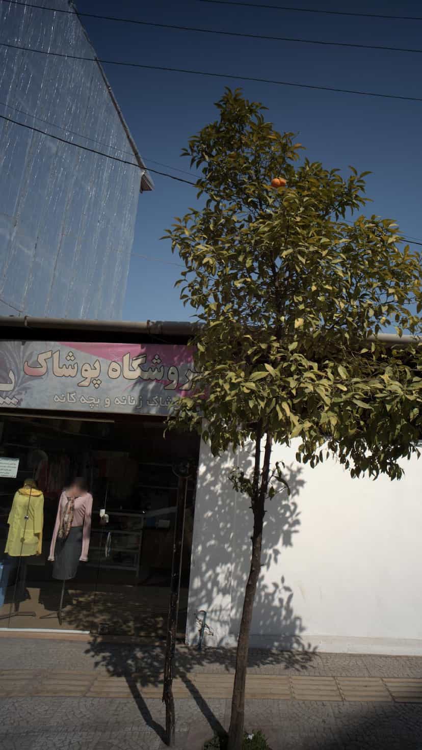 عکس فروشگاه پوشاک پرهام در گلستان قائم شهر