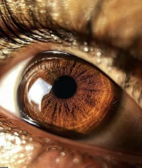 عکس آموزشگاه رقص قلم در فاز ۶ پرند