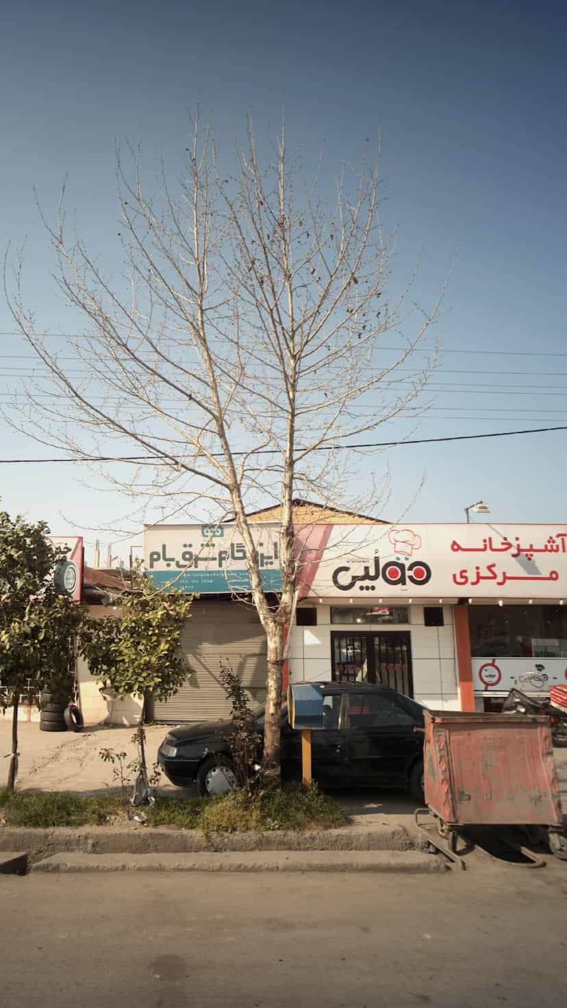 عکس آشپزخانه مرکزی دو لپی در احمدی قائم شهر