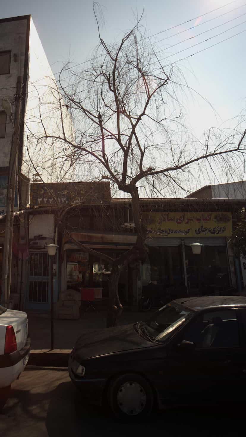 عکس کبابسرای سالار در جویبار قائم شهر