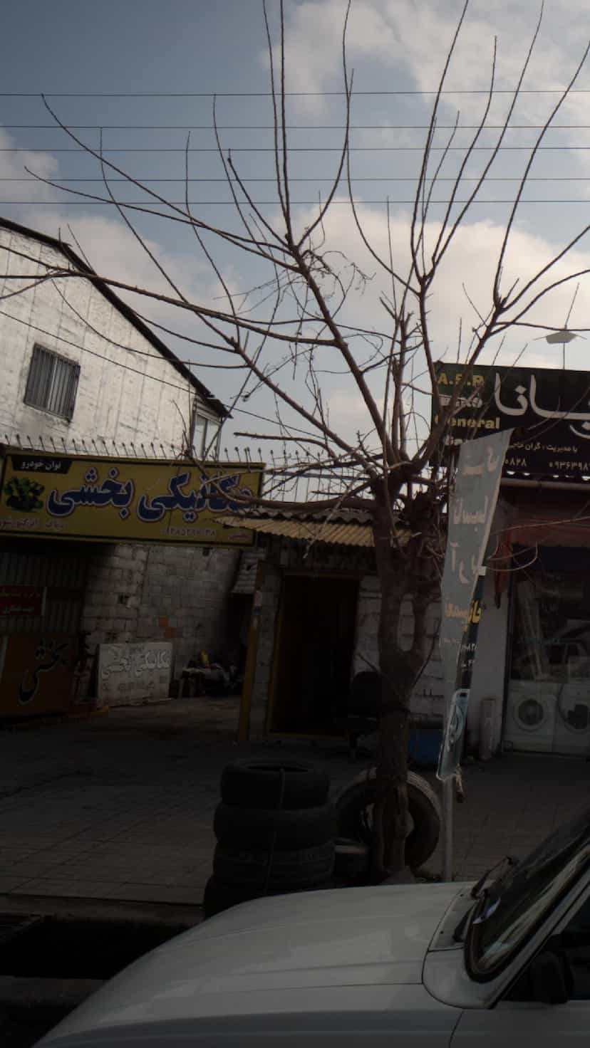 عکس مکانیکی بخشی در اخلاص قائم شهر