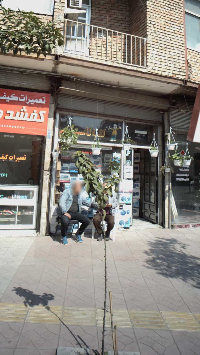 عکس کلبه کاست در گلستان قائم شهر