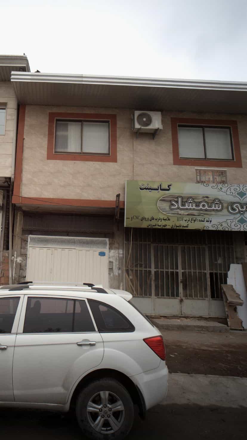 عکس شمشاد در مولوی قائم شهر