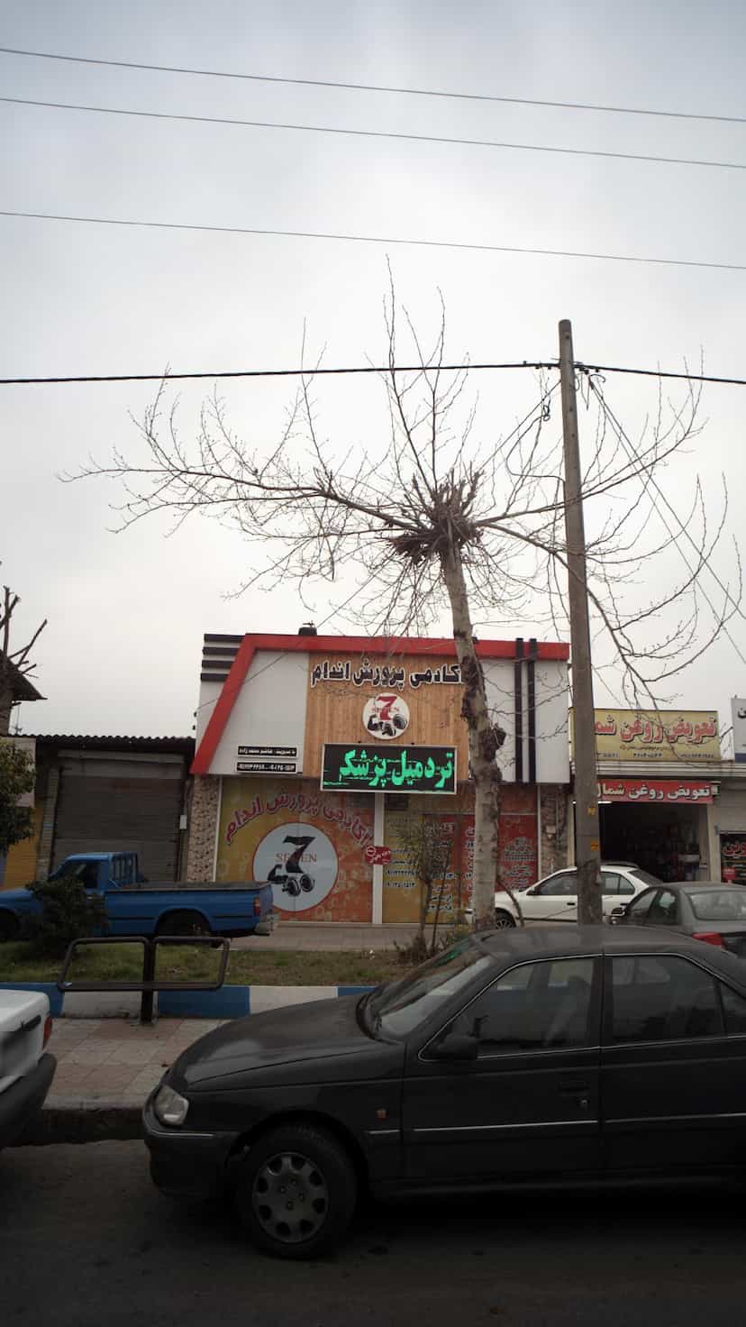 عکس آکادمی پرورش اندام در ساری قائم شهر