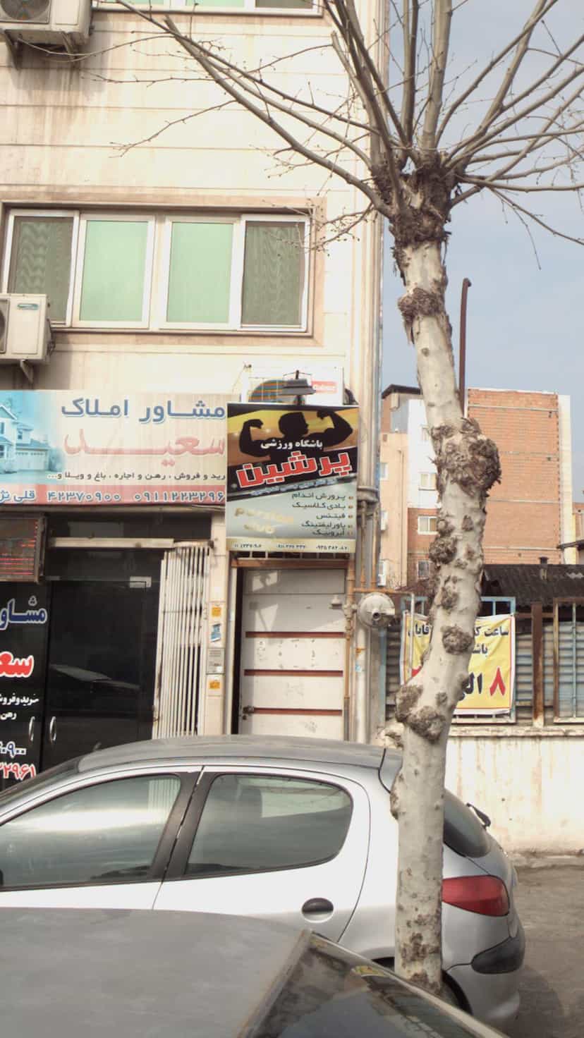 عکس باشگاه ورزشی پرشین در شقایق قائم شهر