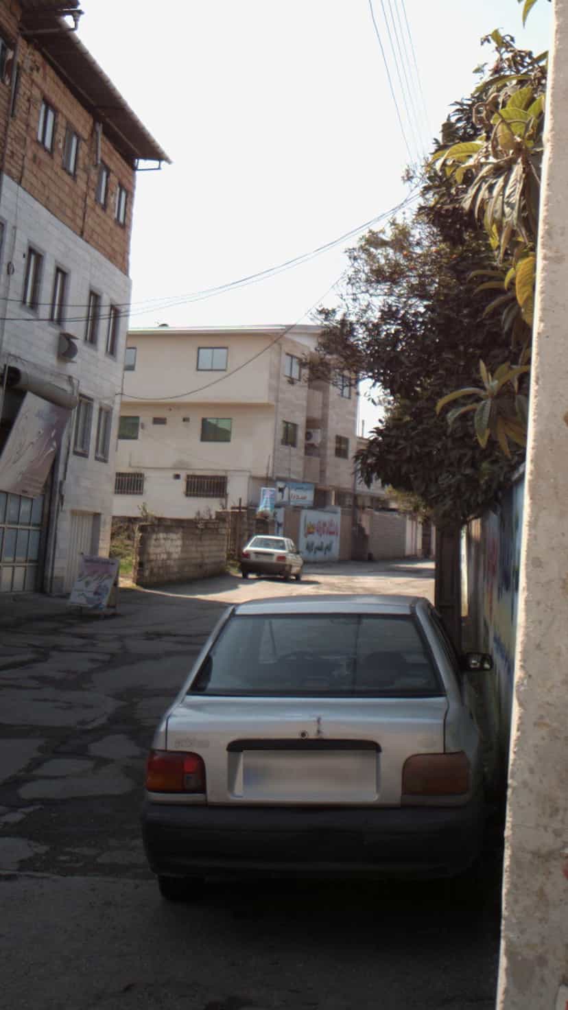 عکس صدرا در گلستان قائم شهر