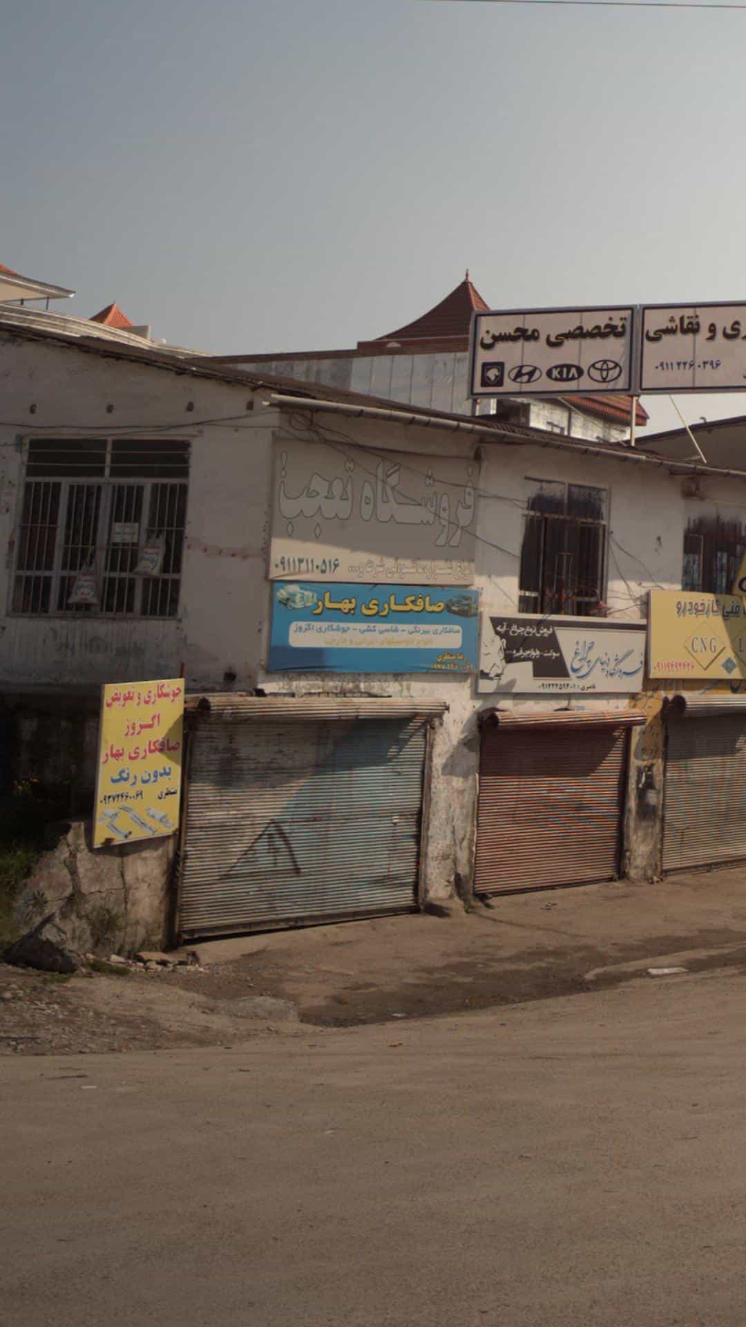 عکس صافکاری بهار در یادگار قائم شهر