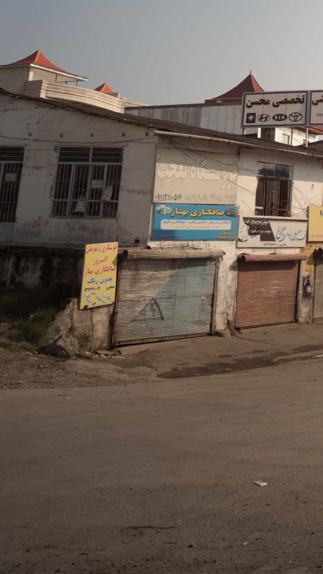عکس صافکاری بهار در یادگار قائم شهر