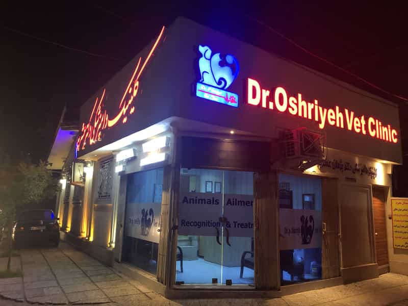 عکس کلینیک دامپزشکی دکتر عشریه در شقایق قائم شهر