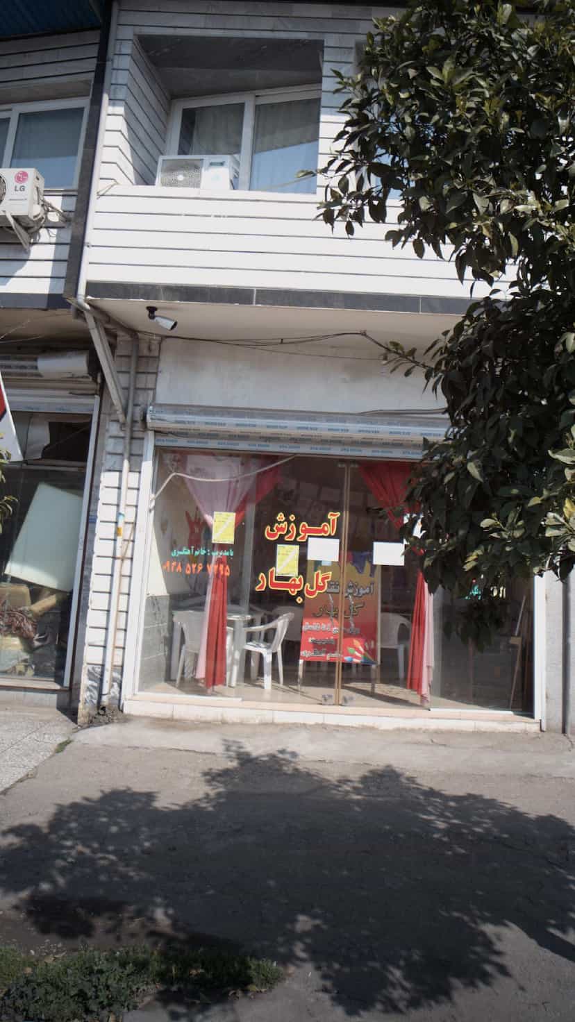 عکس آموزش گل بهار در مولوی قائم شهر