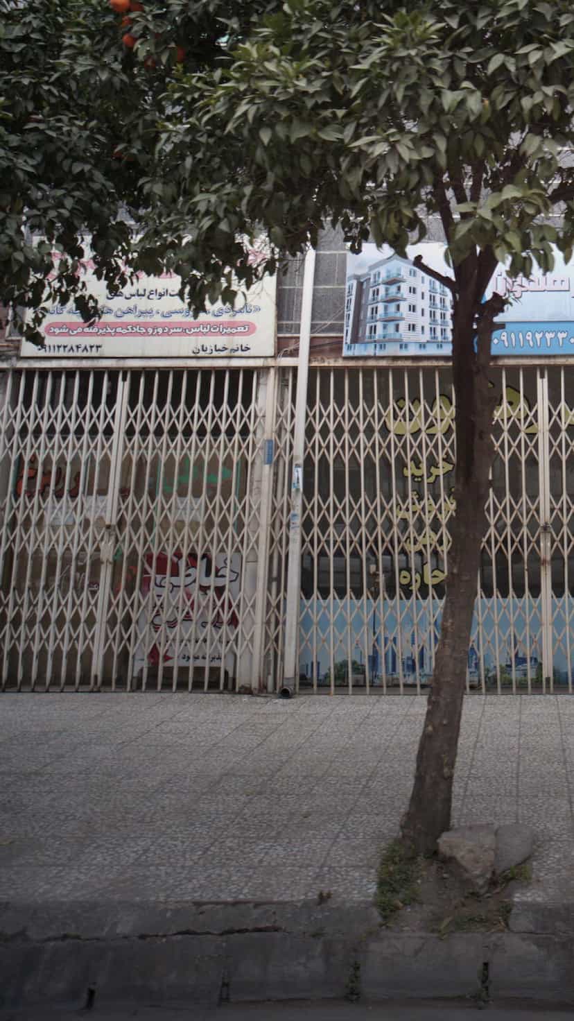 عکس خیاطی زر سرخ در جویبار قائم شهر