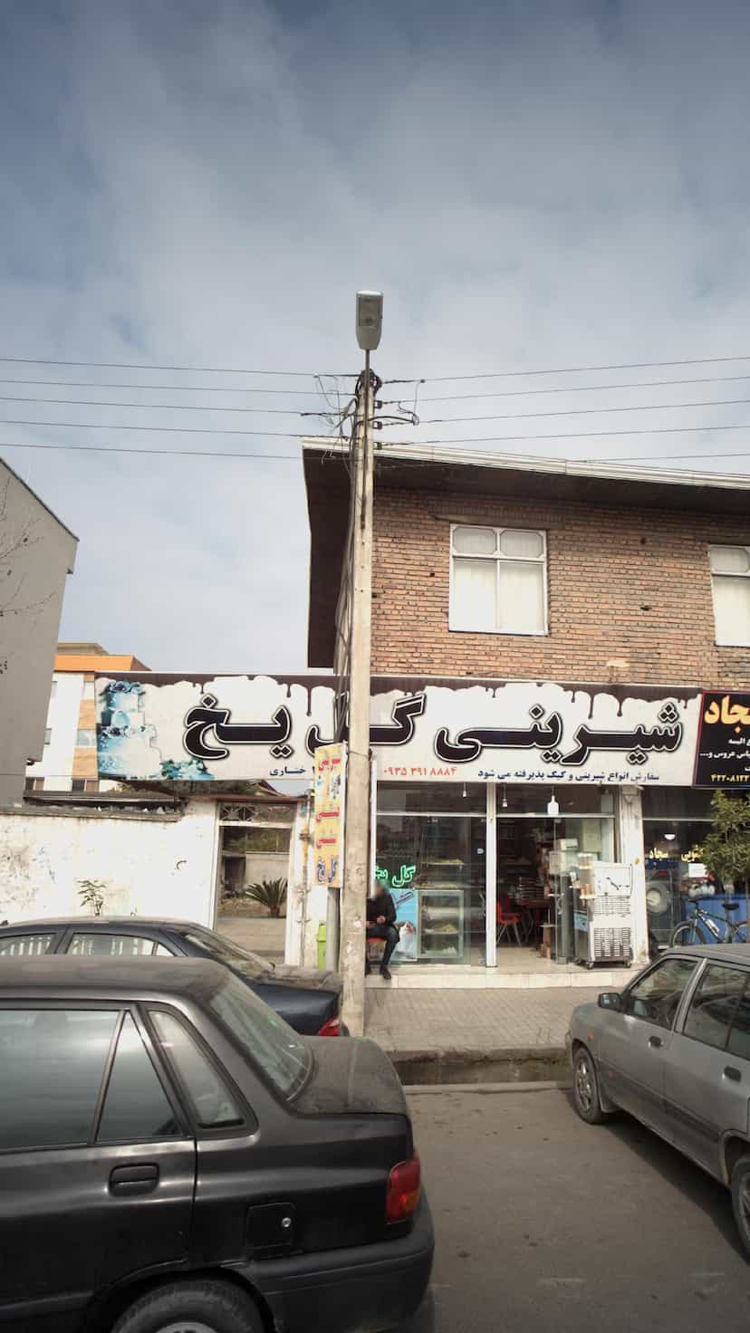 عکس شیرینی گل یخ در گلستان قائم شهر