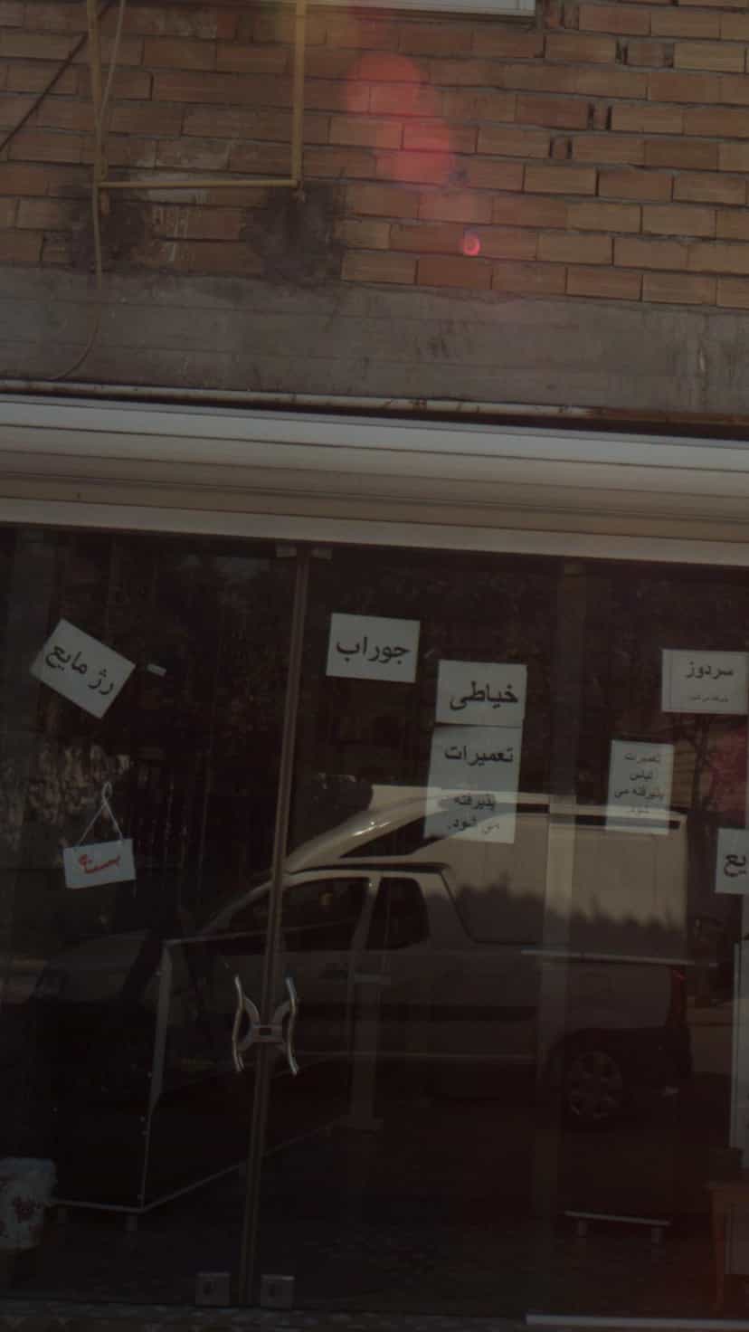 عکس خرازی نیلی در گلستان قائم شهر