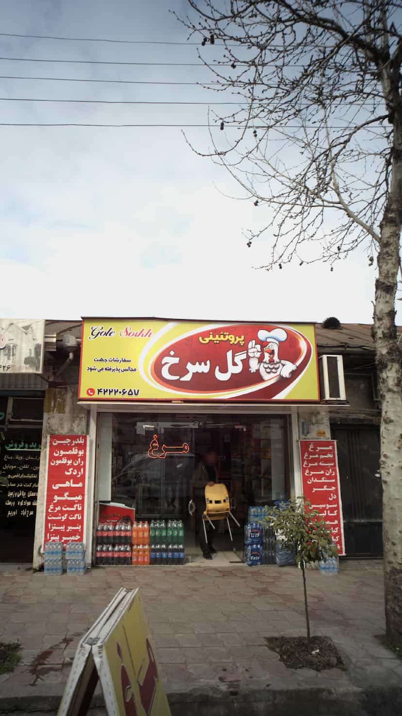 عکس پروتئینی گل سرخ در امام خمینی قائم شهر