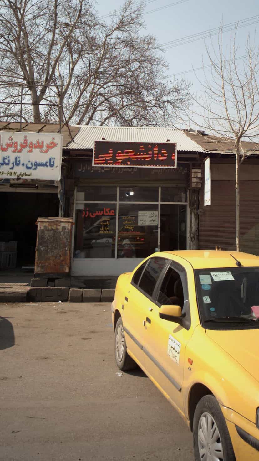 عکس عکاسی رز در یادگار قائم شهر