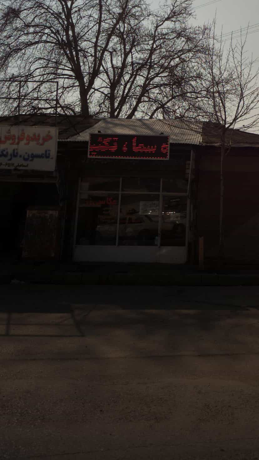 عکس عکاسی رز در یادگار قائم شهر