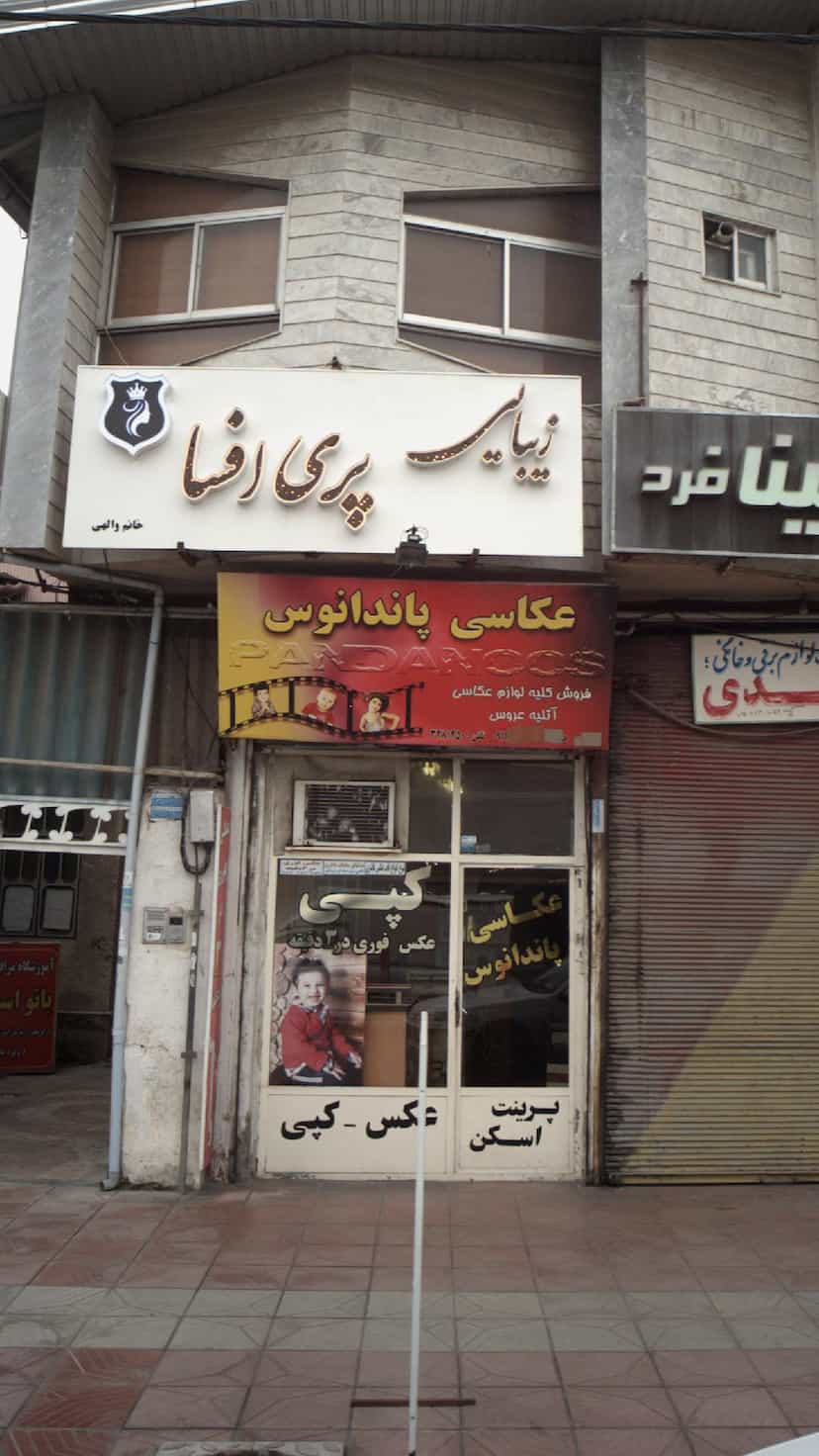 عکس عکاسی پاندا در مولوی قائم شهر