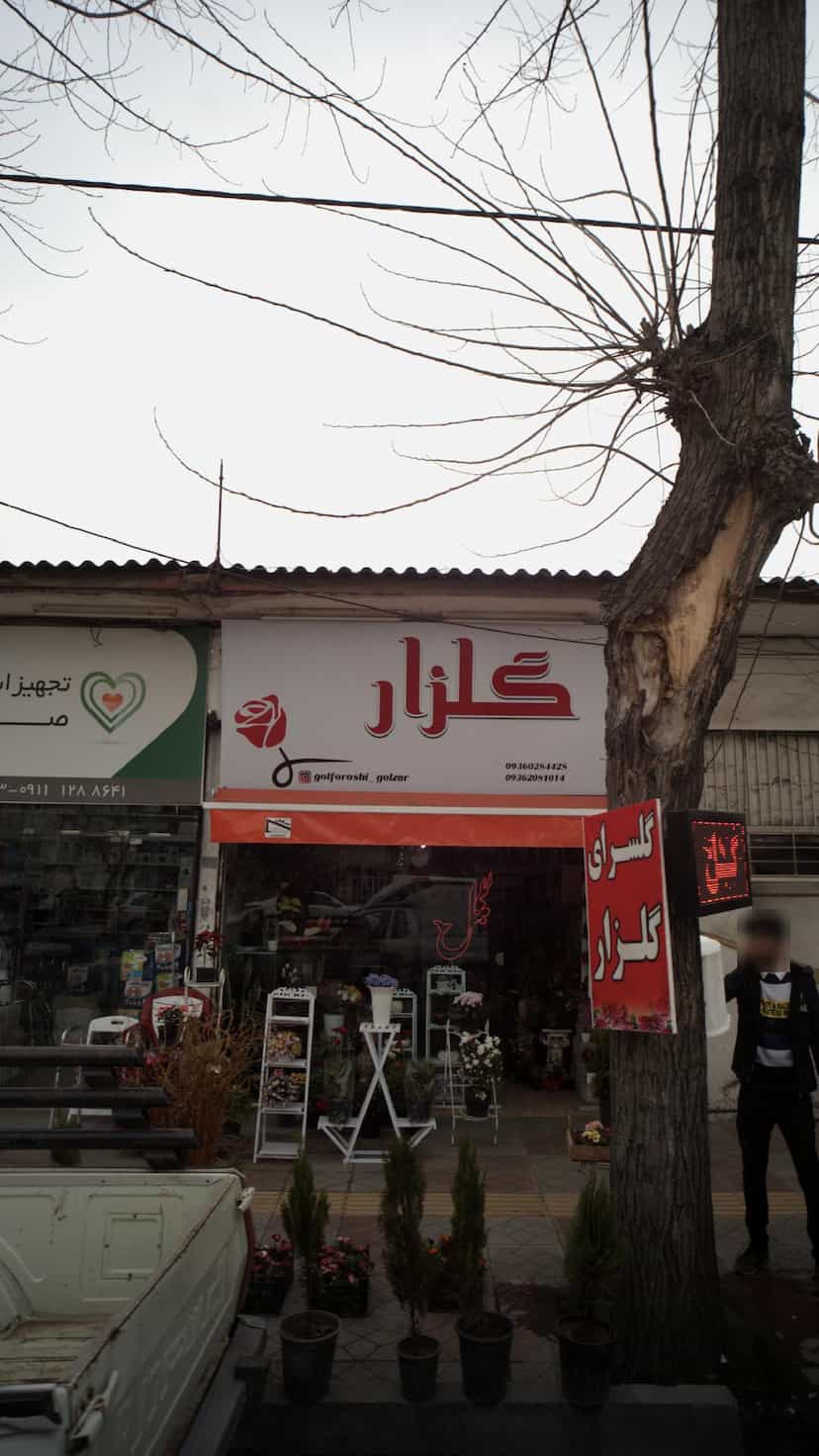 عکس گلزار در آزادی قائم شهر