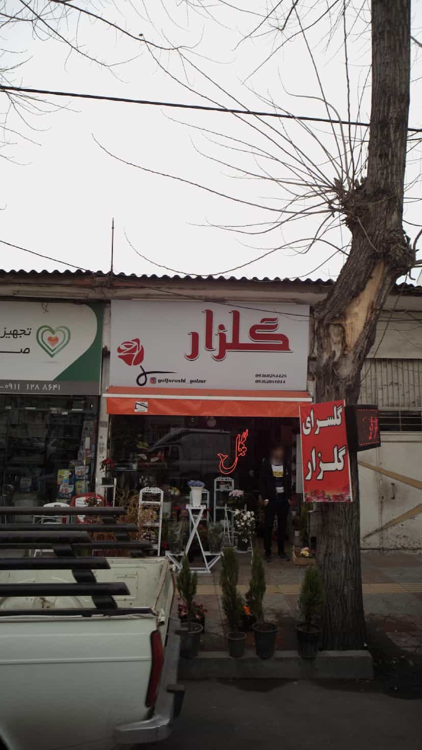 عکس گلزار در آزادی قائم شهر