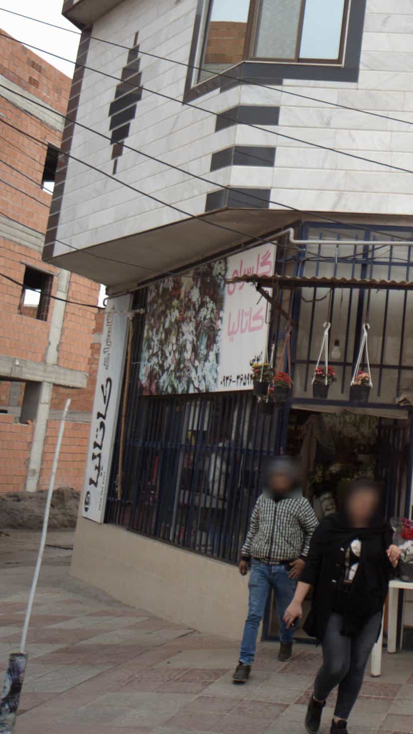 عکس گل سرای کاتالیا در مولوی قائم شهر