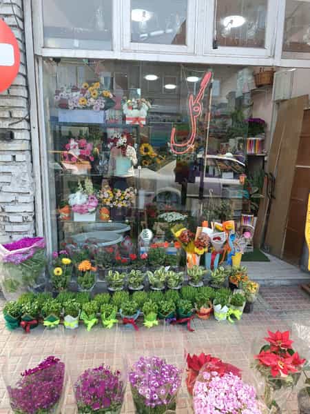 عکس گل فروشی خاطره در امام خمینی قائم شهر