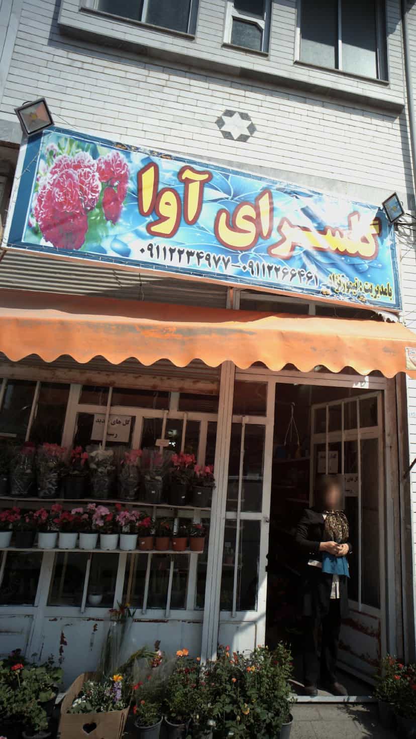 عکس گلسرای آوا در مولوی قائم شهر