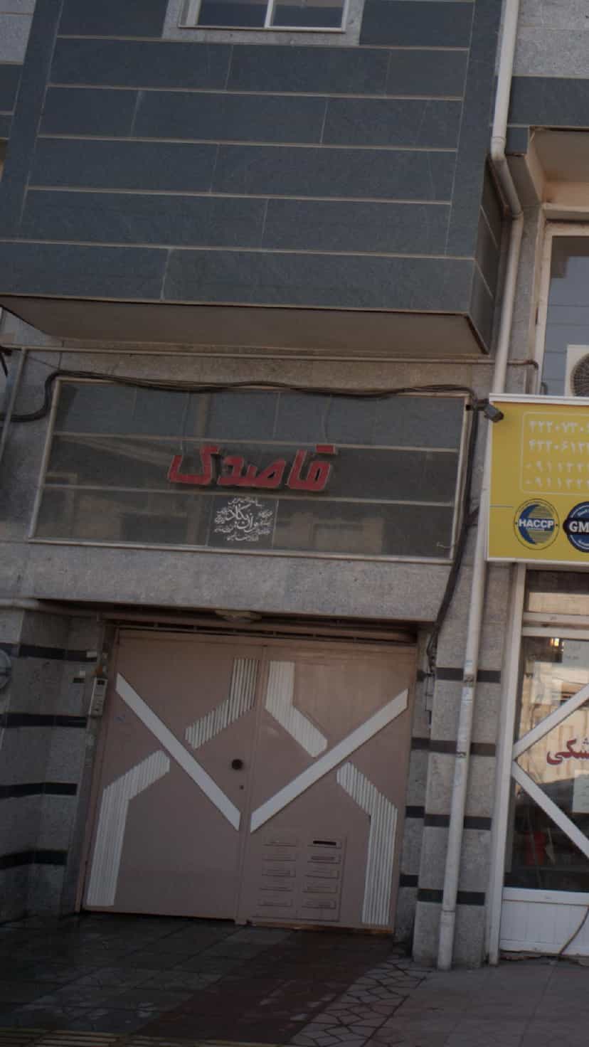 عکس گل قاصدک در مولوی قائم شهر