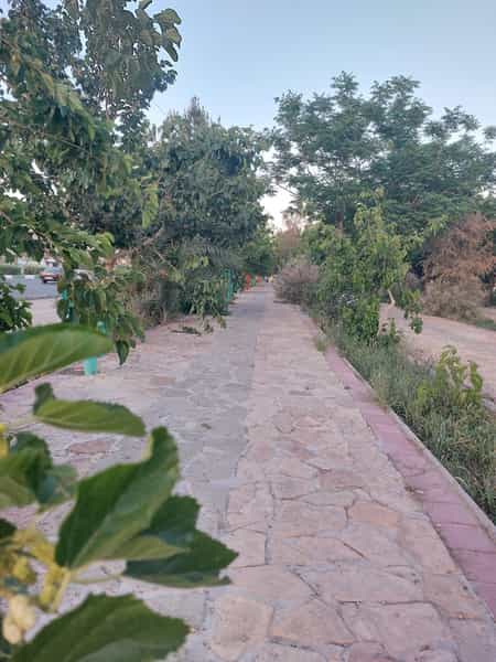 عکس پارک در تختی گرمسار