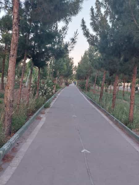 عکس پارک در تختی گرمسار