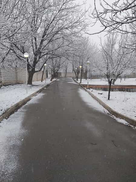 عکس باغ رستوران افرا در شهر تویسرکان