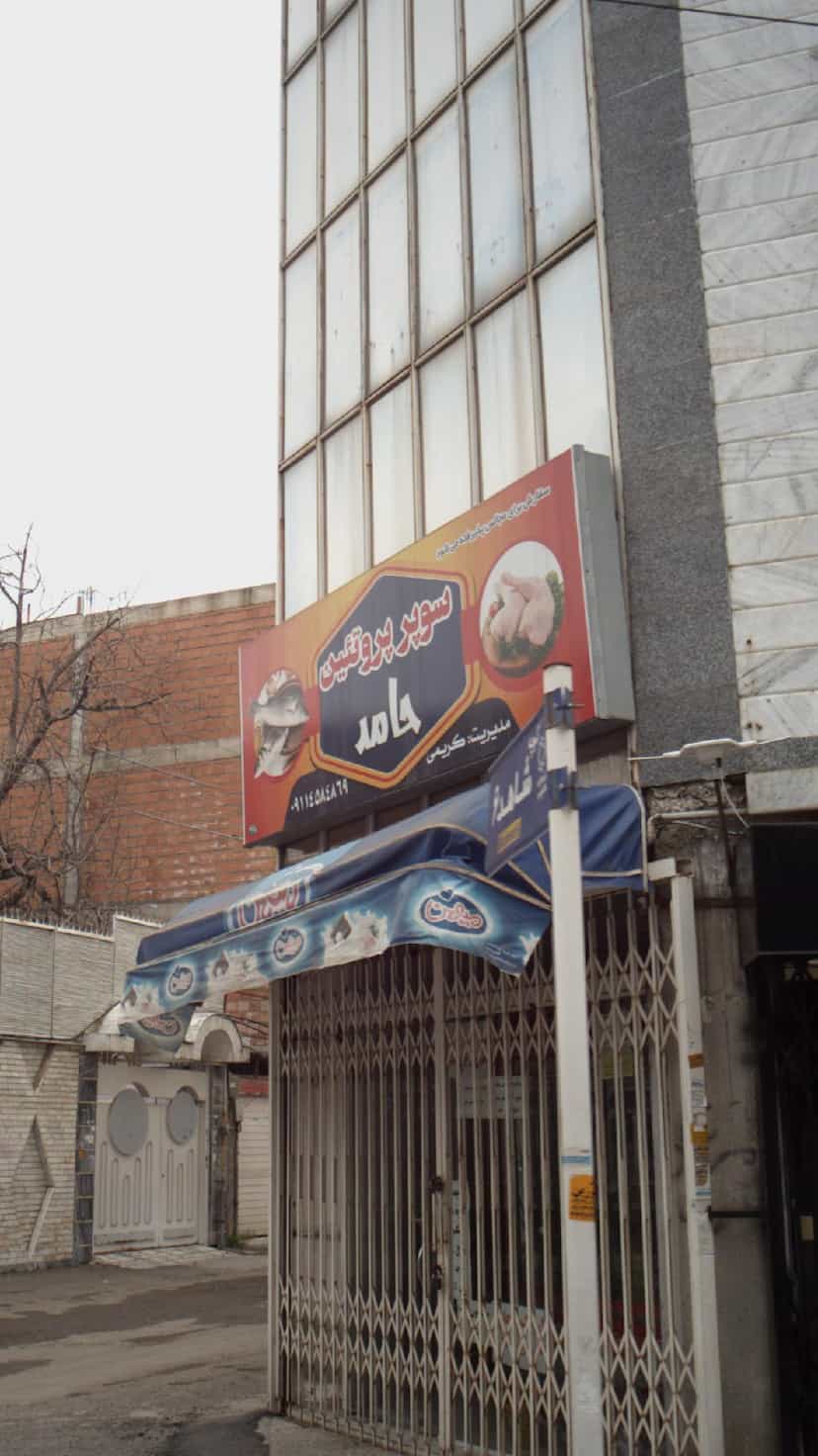 عکس سوپر پروتئین حامد در نشاط قائم شهر