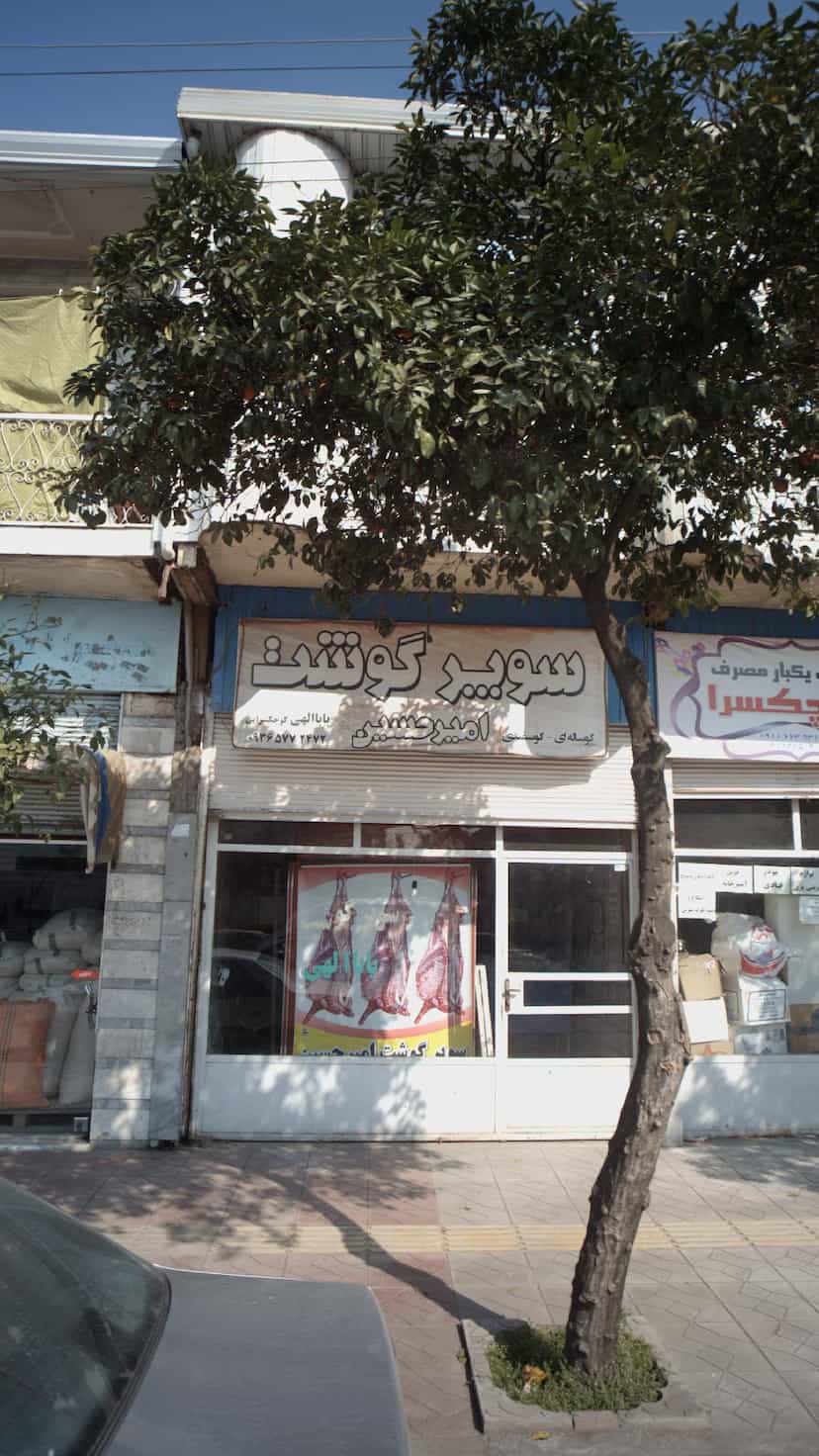 عکس سوپر گوشت امیرحسین در یادگار قائم شهر