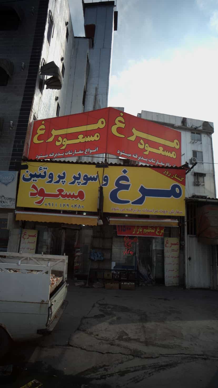 عکس سوپر پروتئین مسعود در اخلاص قائم شهر