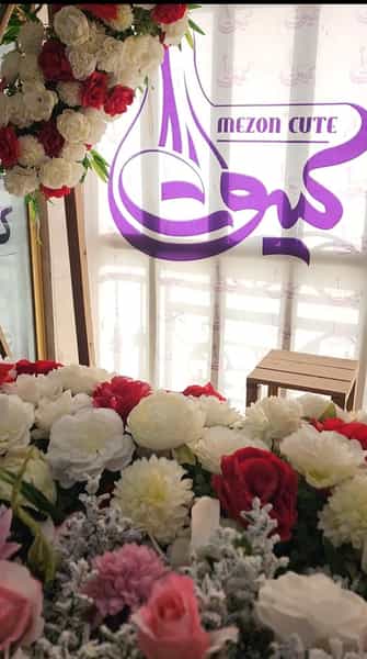 عکس مزون کیوت در اکسیژن ساز ایرانشهر