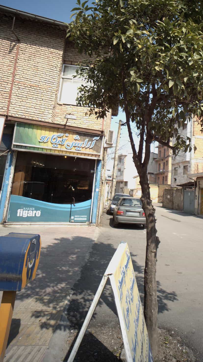 عکس آرایش فیگارو(بهزاد طالبی) در گلستان قائم شهر