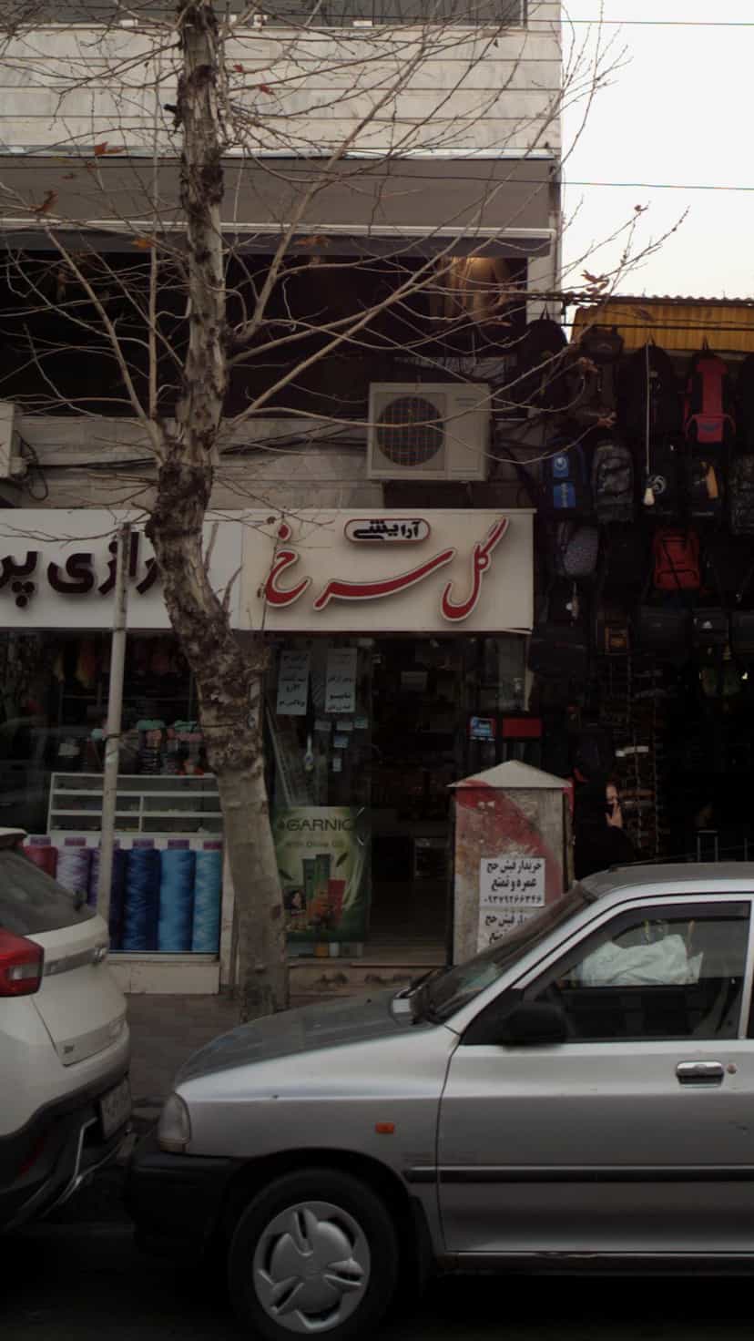 عکس آرایشی گل سرخ در امام خمینی قائم شهر