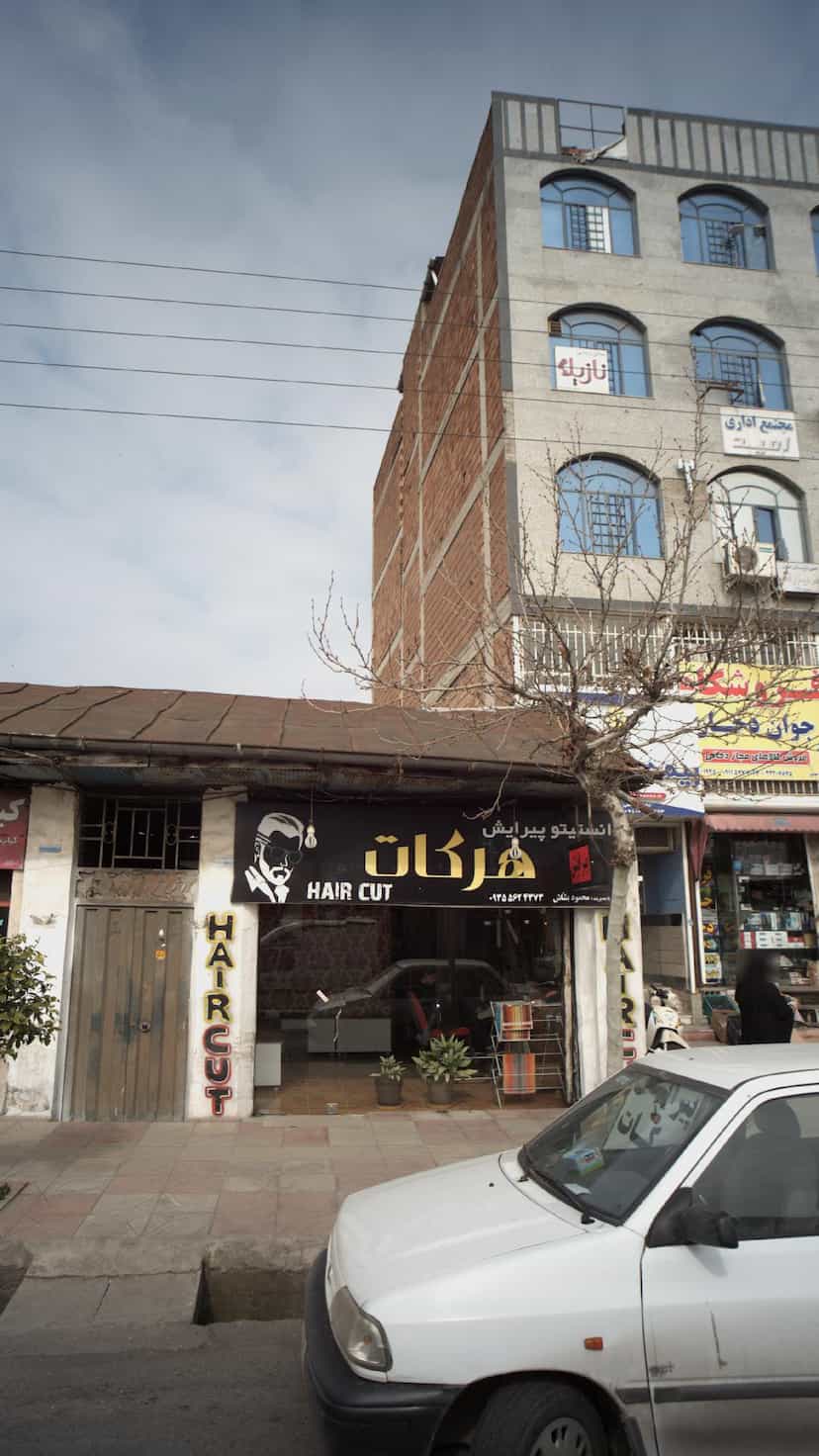 عکس پیرایش هرکات در گلستان قائم شهر