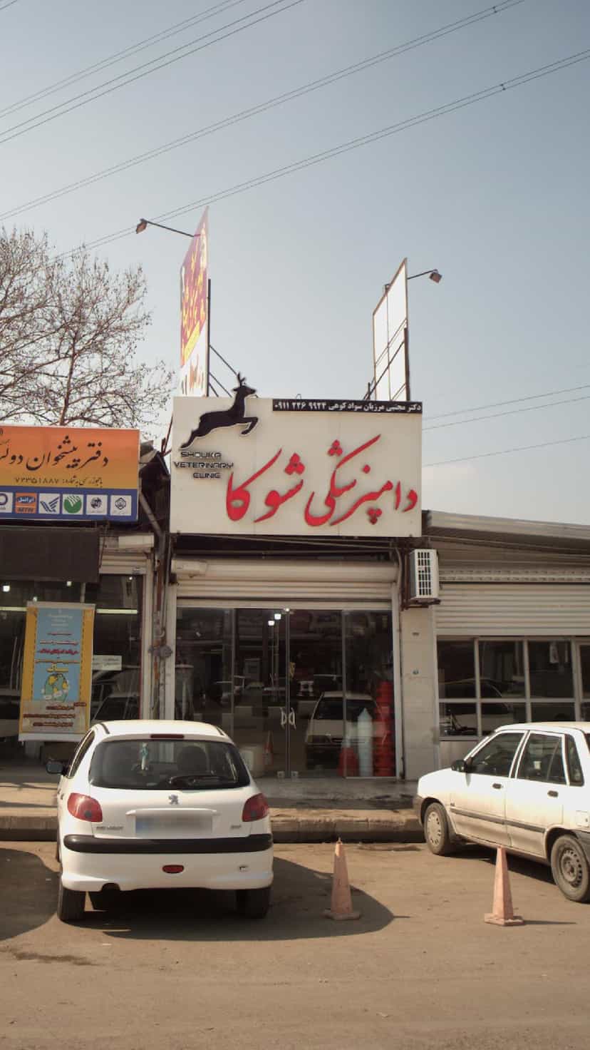 عکس دامپزشکی شوکا در یادگار قائم شهر