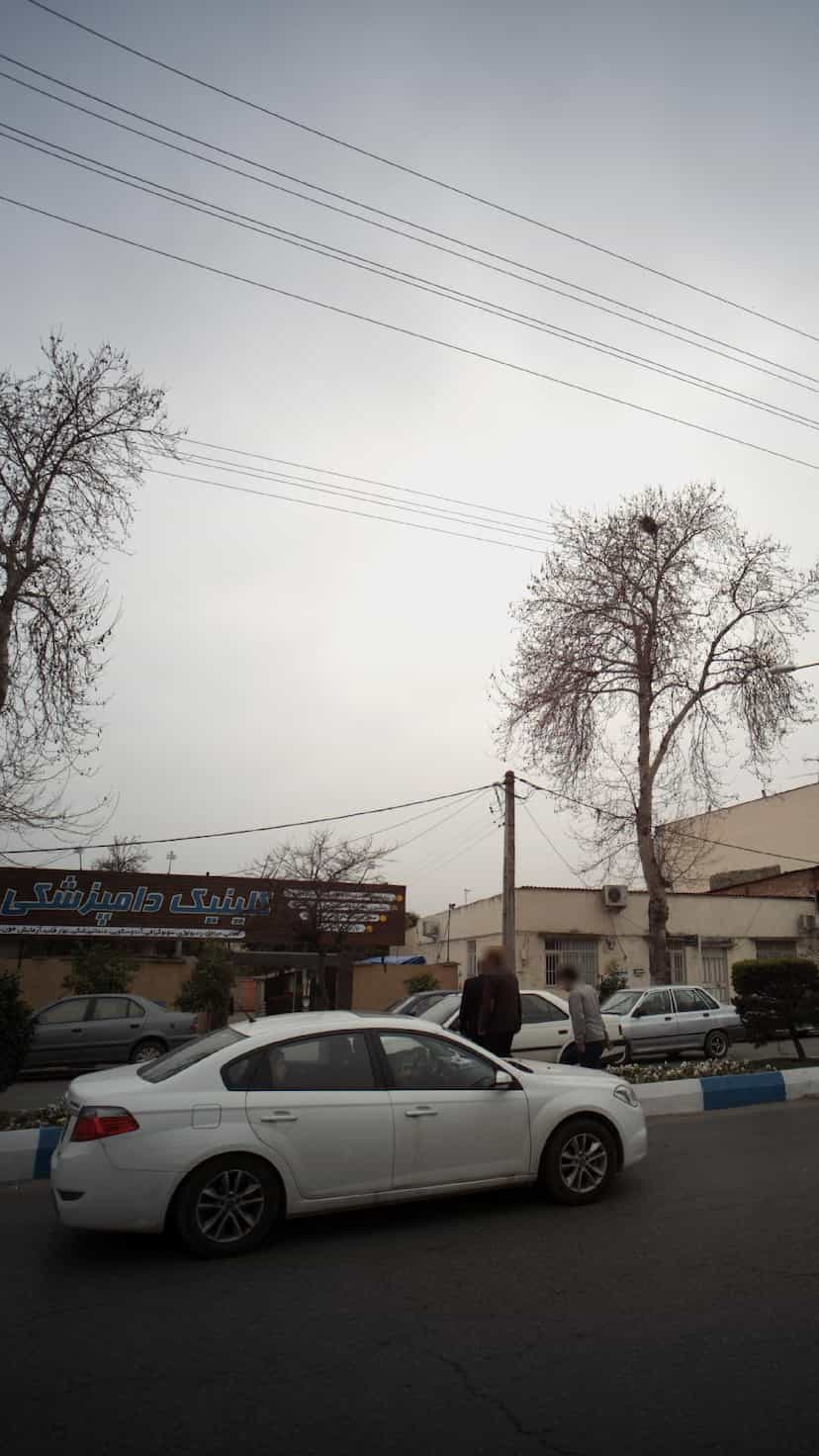عکس کلینیک دامپزشکی نیکا در نشاط قائم شهر