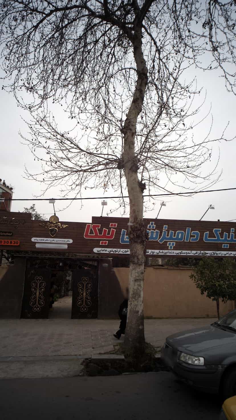 عکس کلینیک دامپزشکی نیکا در نشاط قائم شهر