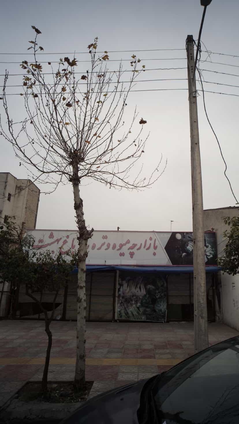 عکس بازارچه میوه و تره بار باغ بهشت در جویبار قائم شهر