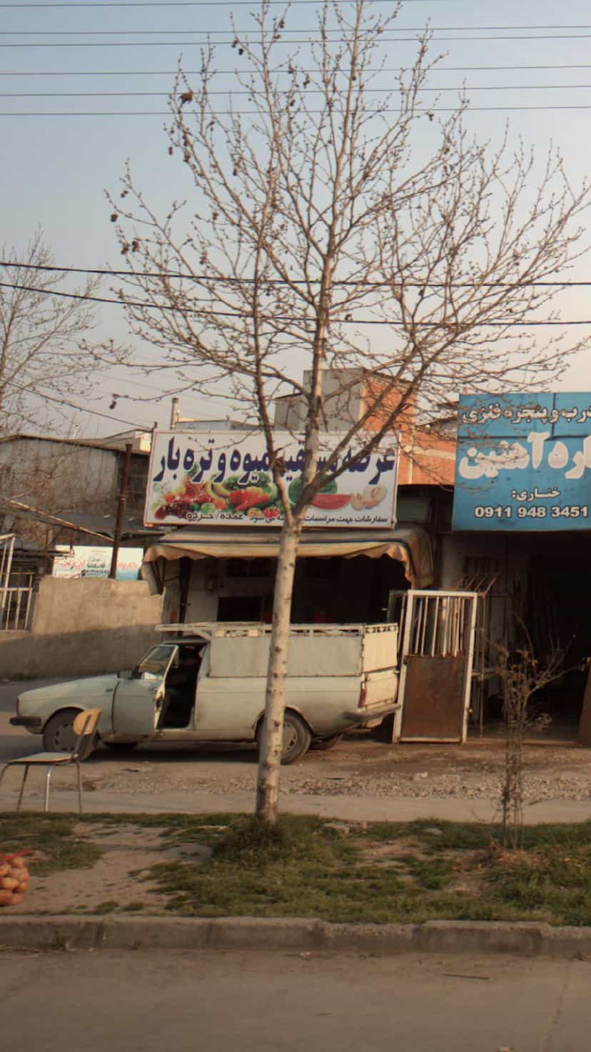 عکس عرضه مستقیم میوه وتره بار در احمدی قائم شهر