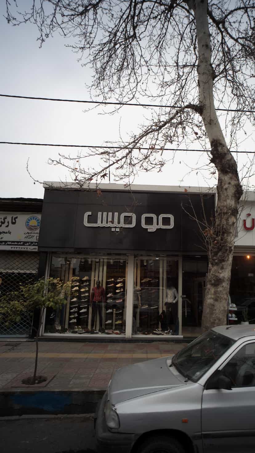 عکس مومیس در جویبار قائم شهر