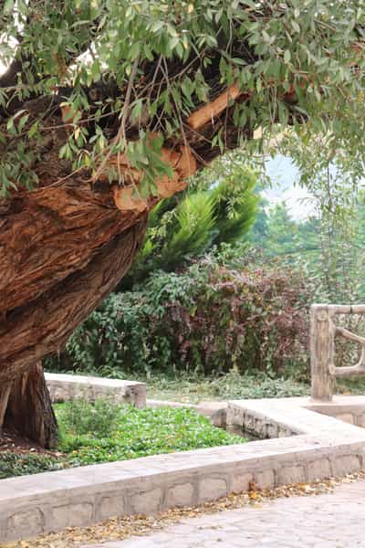 عکس پارک سعدی در چشمه رسول اقلید