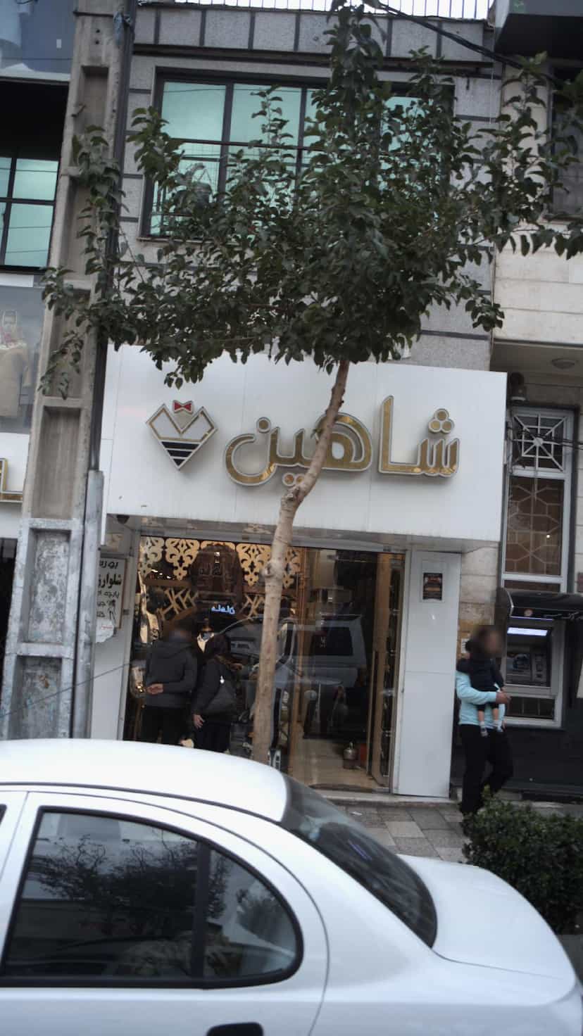 عکس شاهین در شهر فردیس