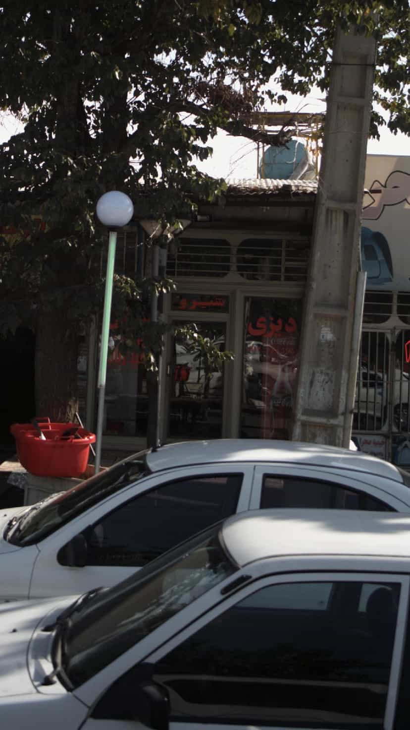 عکس دیزی شیرو در شهر فردیس