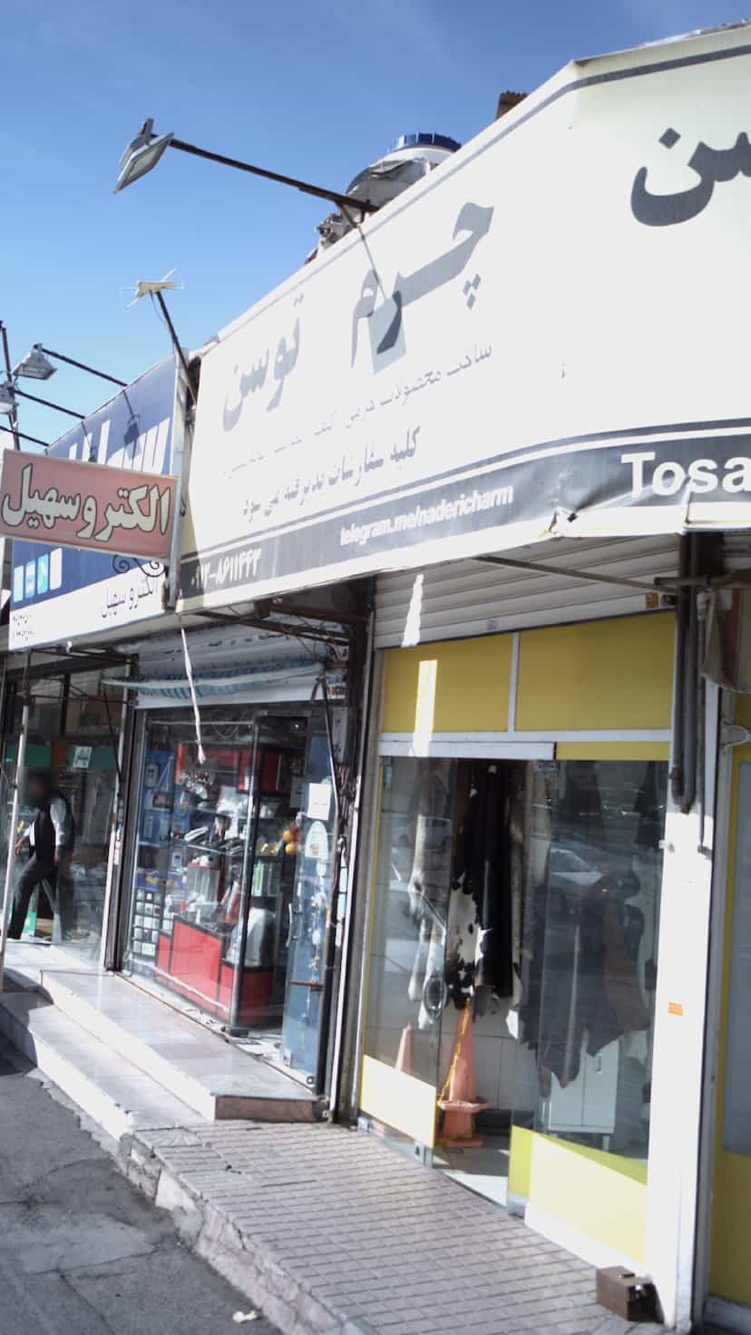 عکس چرم توسن در شهر فردیس