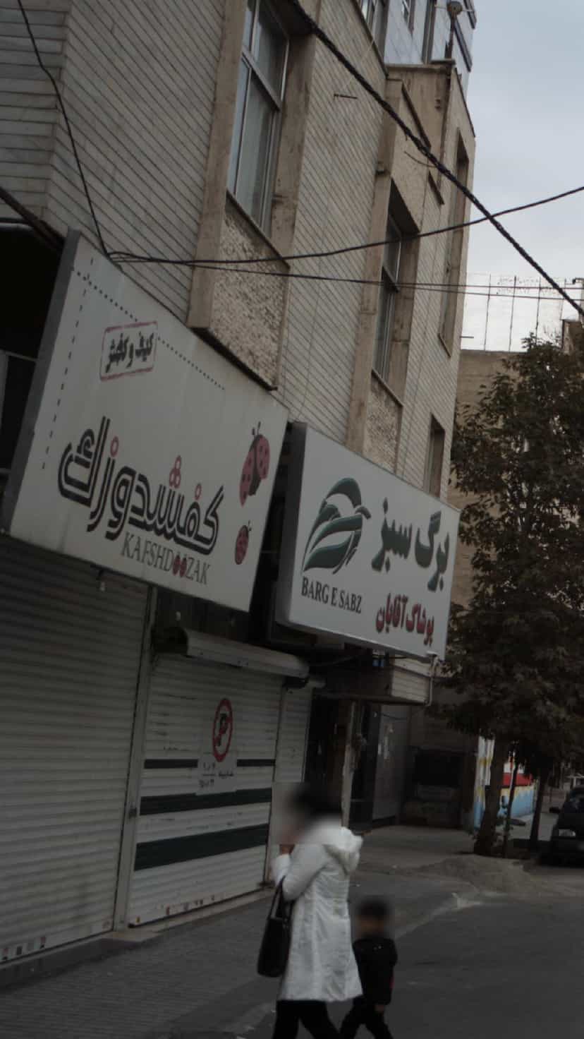 عکس کفشدوزک در شهر فردیس