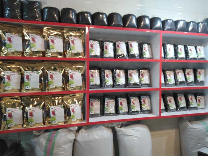 عکس پایتخت چای ( کوچکی ) در صاحب الزمان لاهیجان