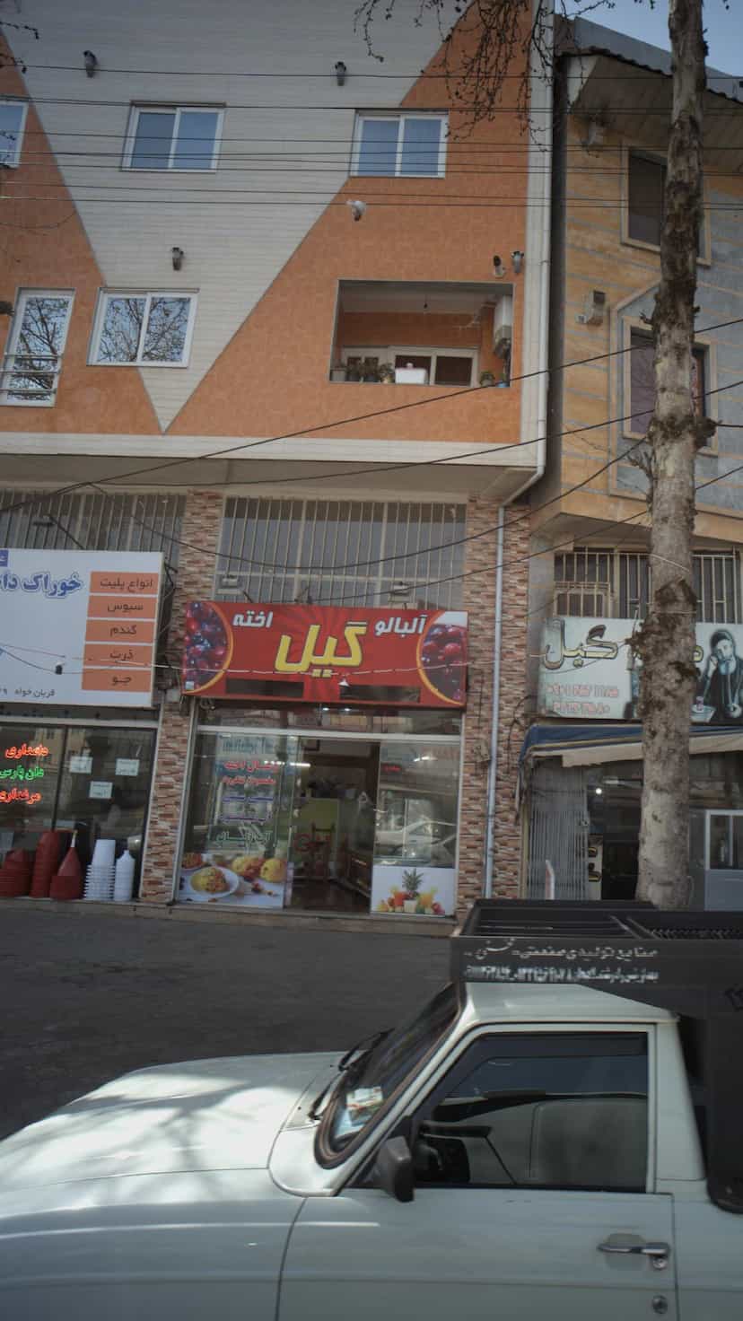 عکس آلبالو اخته گیل در امام خمینی لاهیجان